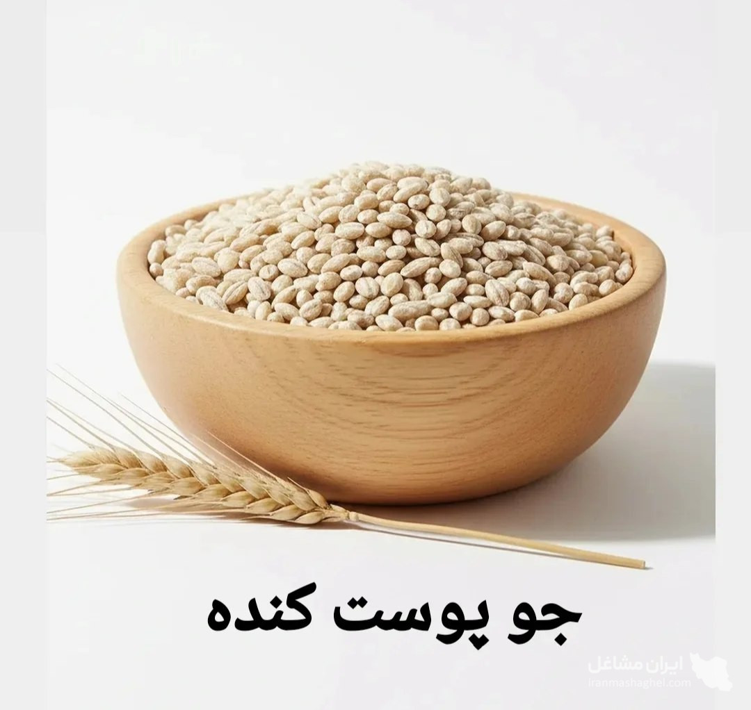 تولید و فرآوری آرد ذرت دشت آسمان در کرج